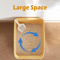 SpaceTime spacious interior supports comfortable movement for indoor cats.