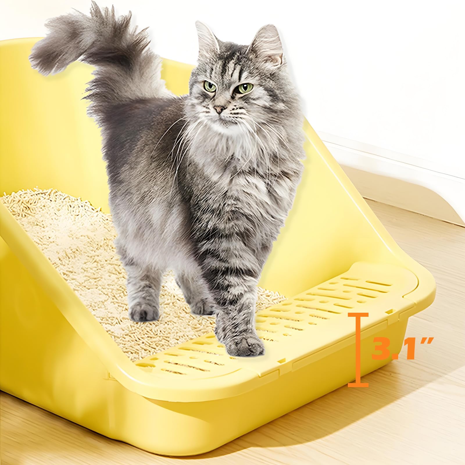 SpaceTime large-space cat litter box offering roomy interior