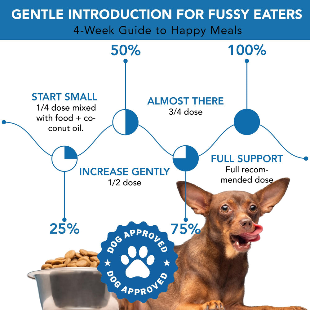 Spanielbuns dental powder in a bowl before meals for quick application