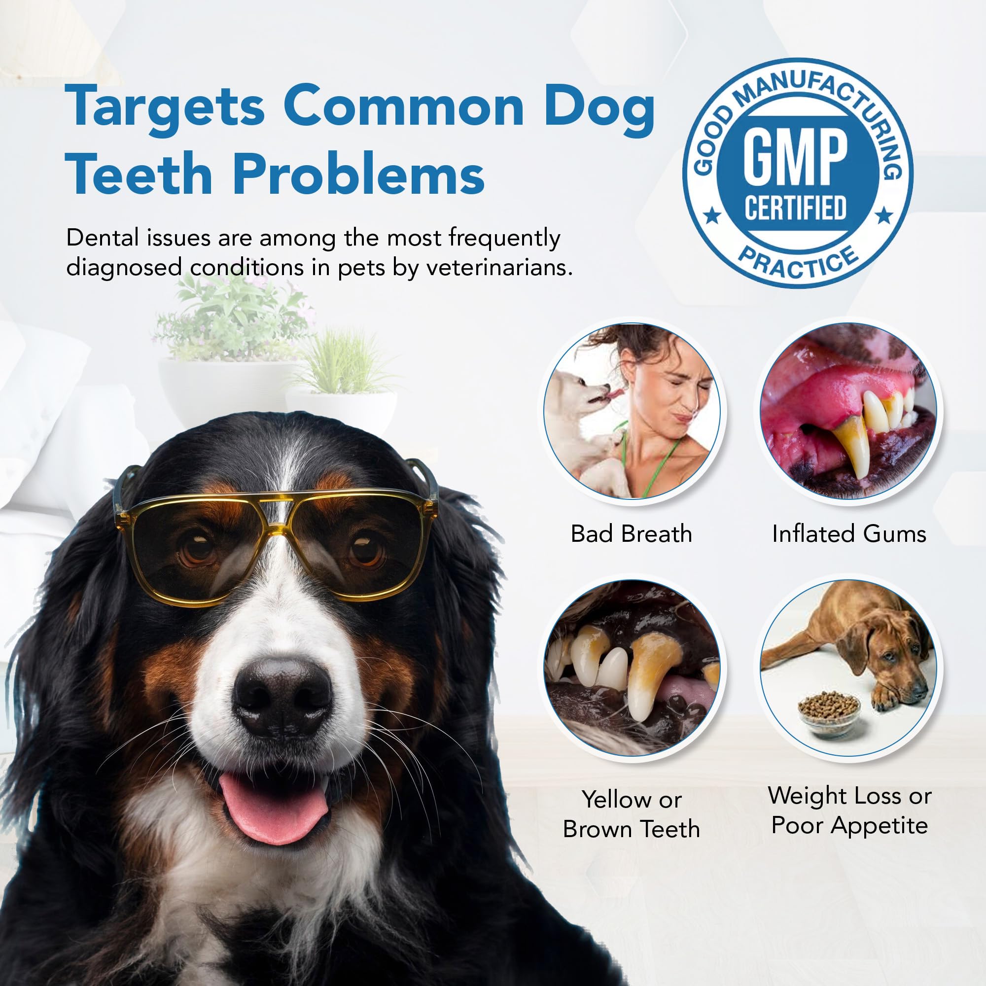 Spanielbuns dental powder packaging on shelf as a dog dental care option