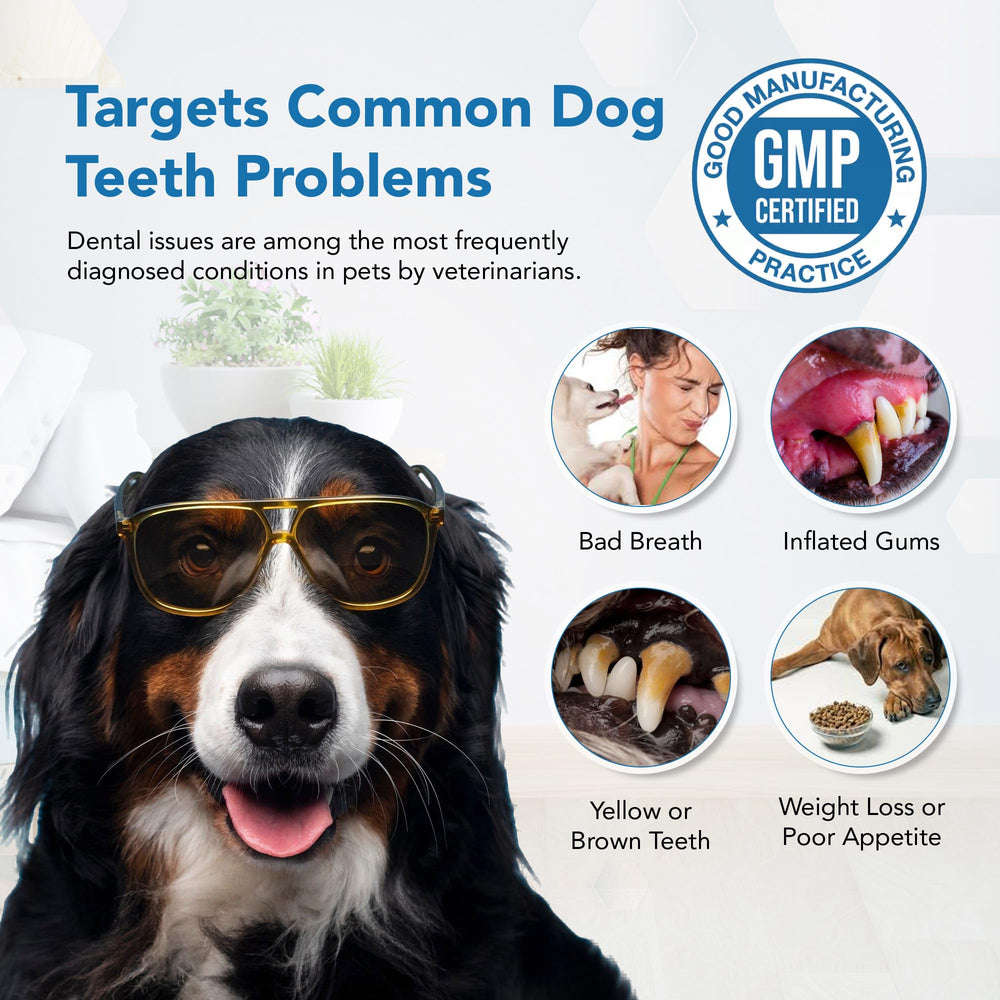 Spanielbuns dental powder packaging on shelf as a dog dental care option