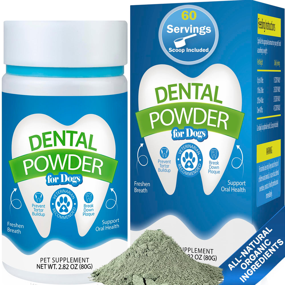 Spanielbuns dental powder tube on counter supports easy daily use and fresh breath