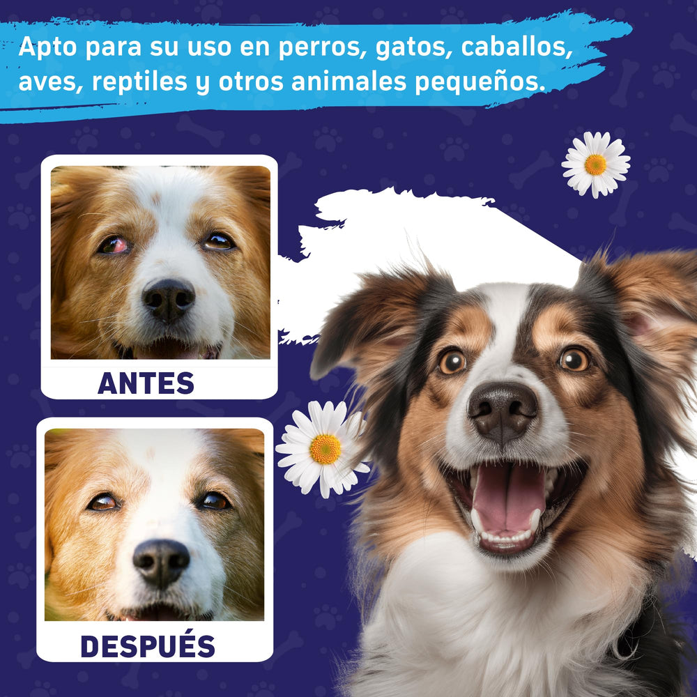 Spanielbuns silver ions eye protection emphasizes extra guard against irritants.