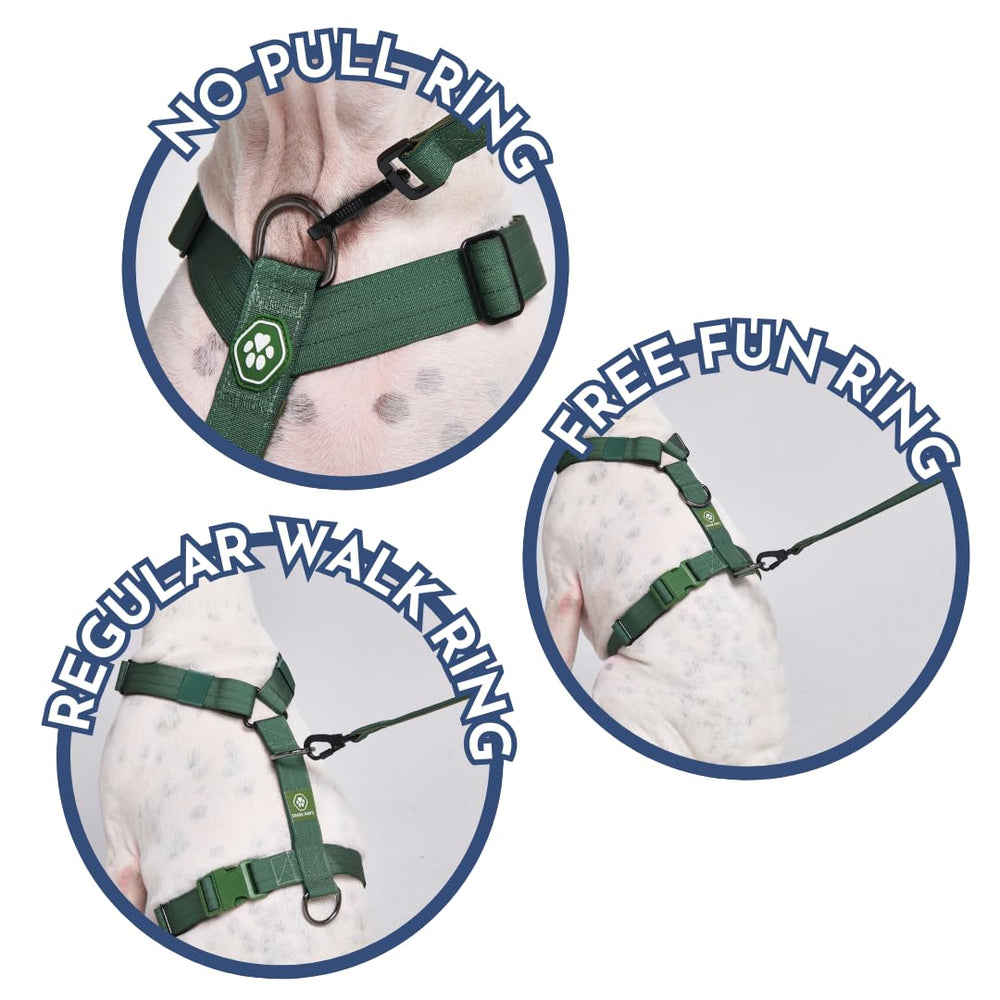 Spark Paws adjustable chest-torso fit harness ensures snug, personalized sizing for big breeds