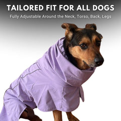 Spark Paws breathable mesh lining keeps dogs comfortable.