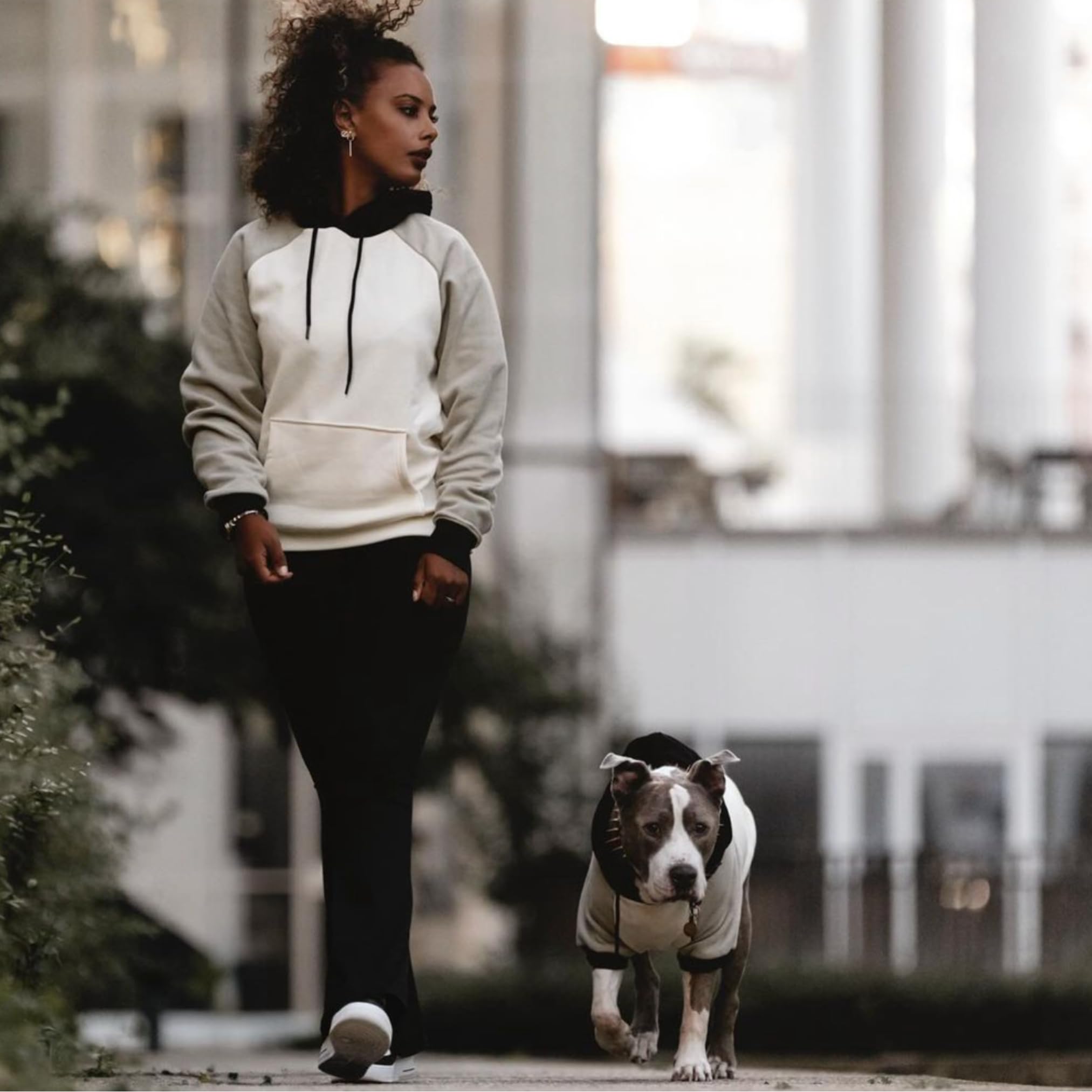 Spark Paws Olive Cream hoodie tailored for broad chests across breeds