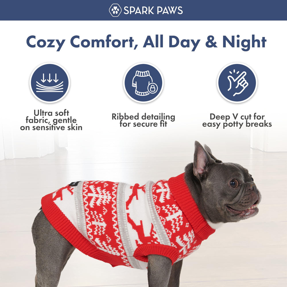 Spark Paws festive dog sweater staged with family for memorable photos