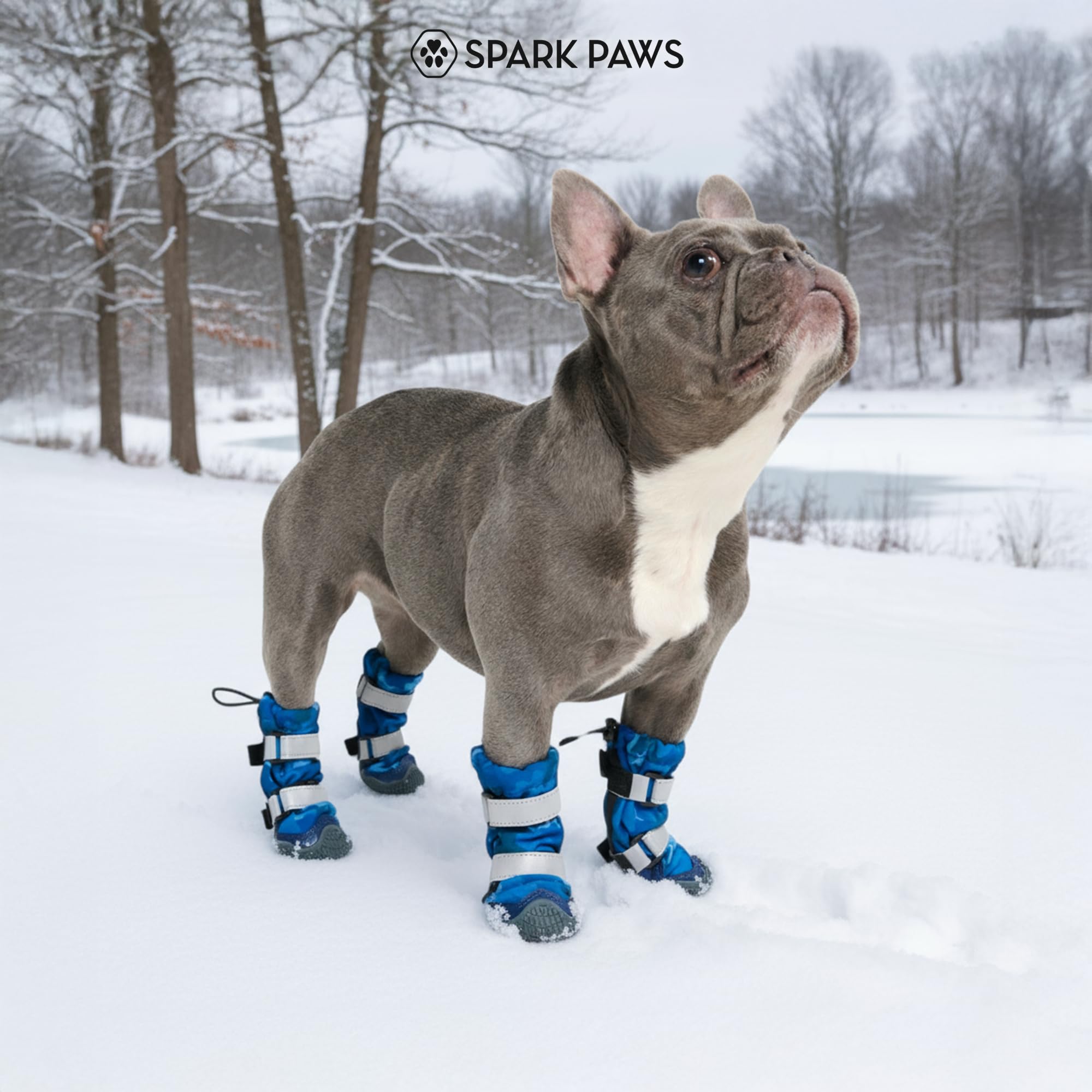 Spark Paws dog boots on hiking trail show versatility