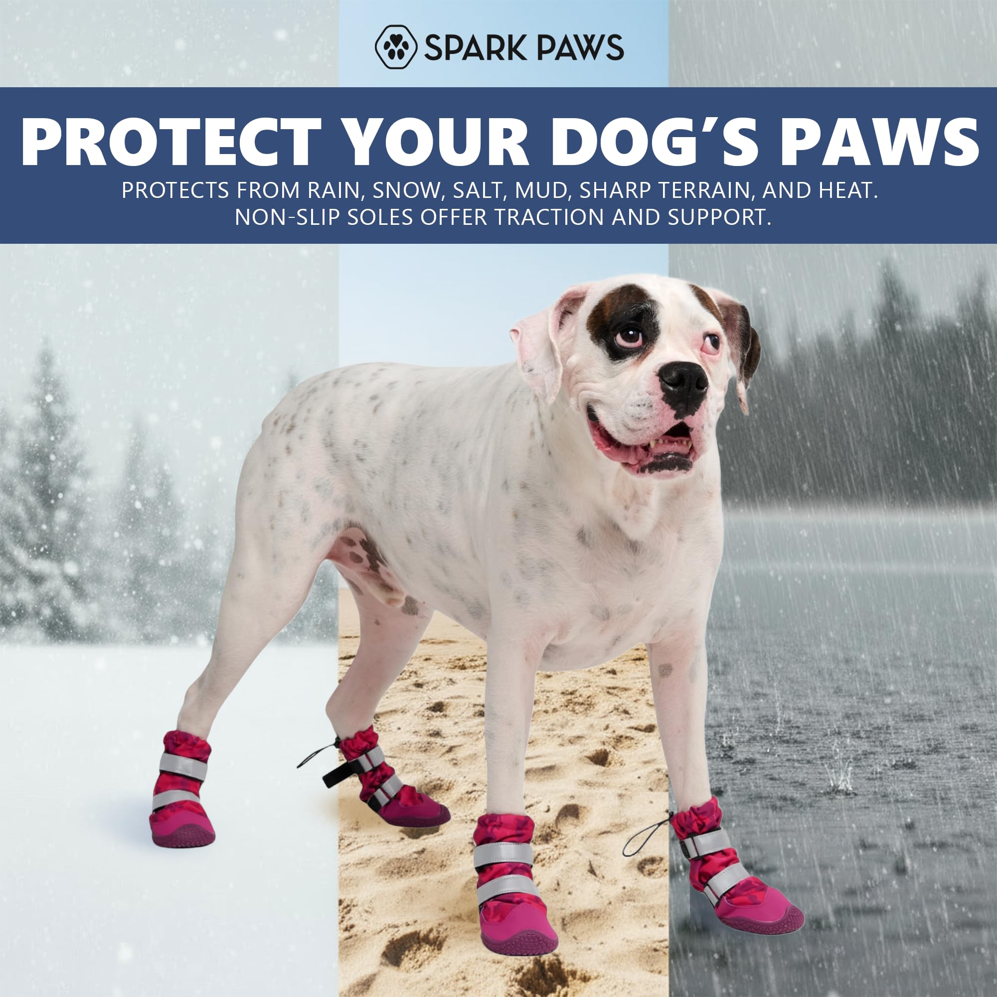 Spark Paws reflective straps boost visibility during dawn or dusk walks.
