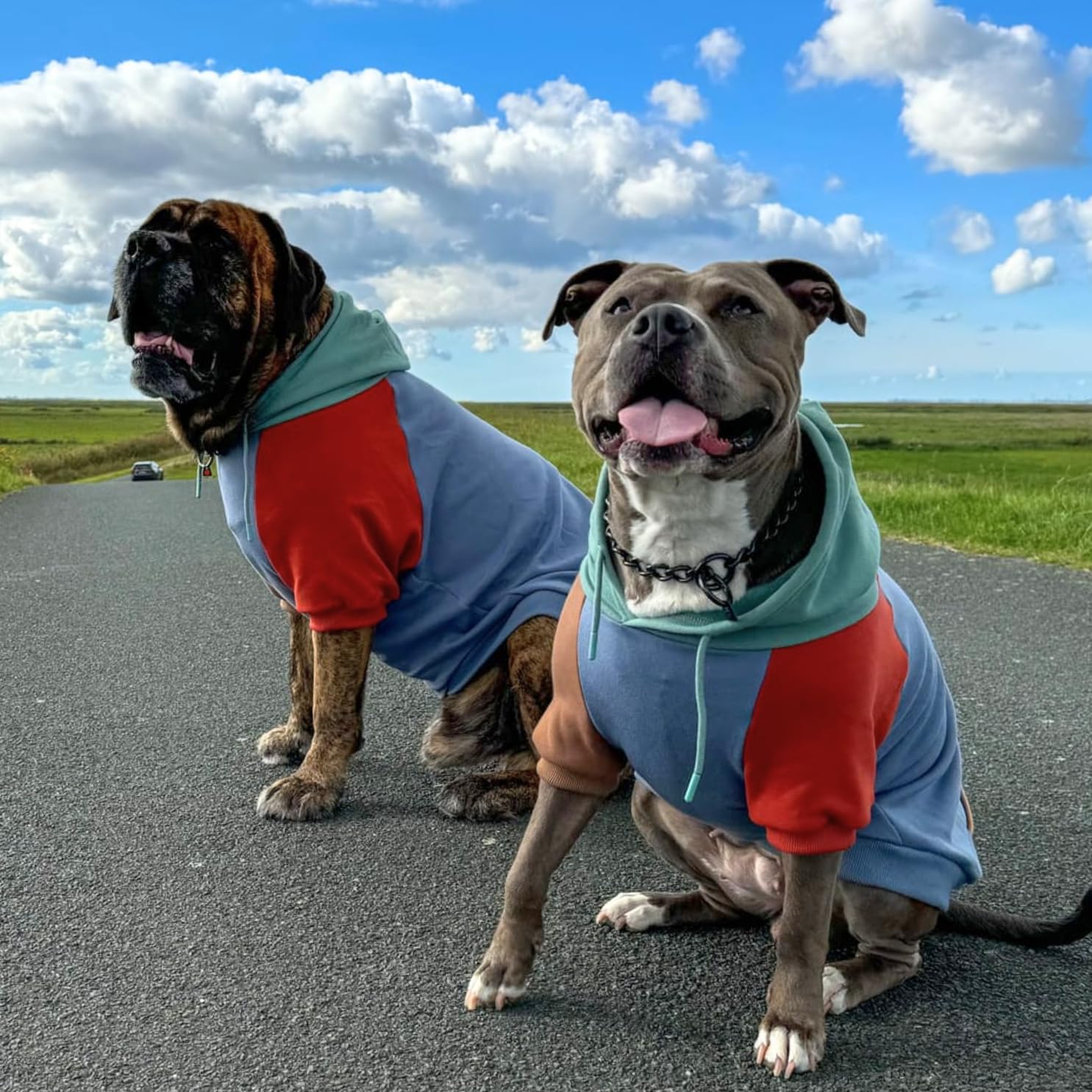 Spark Paws Dog Hoodie Alpine calming fleece interior keeps dogs cozy on chilly days