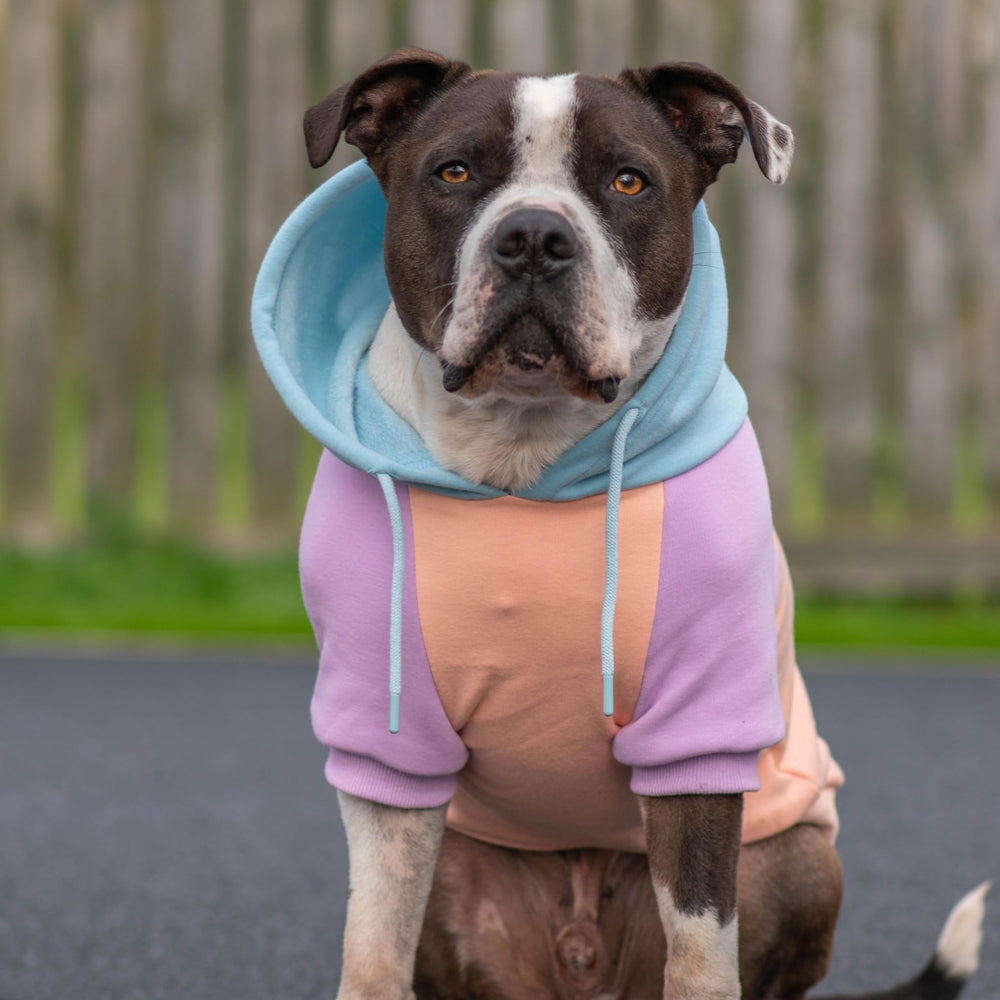 Spark Paws dog hoodie broad-chest-fit ensures comfortable range of motion.