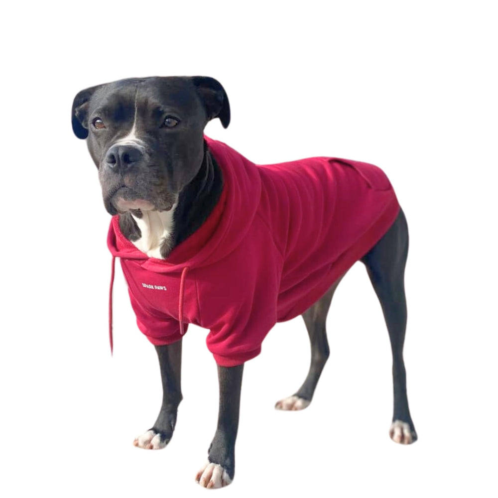 Spark Paws dog hoodie Burgundy front view showing all-breed fit for daily walks