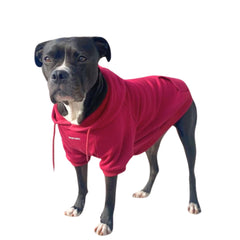 Spark Paws dog hoodie Burgundy front view showing all-breed fit for daily walks