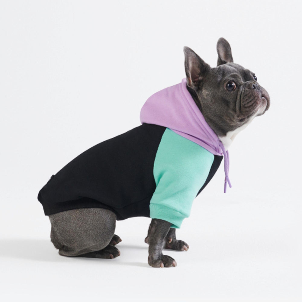 Spark Paws dog hoodie butter-stretch fabric close-up showing soft, flexible comfort.