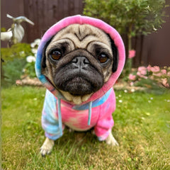 Spark Paws dog hoodie calming fleece interior for cozy, secure warmth