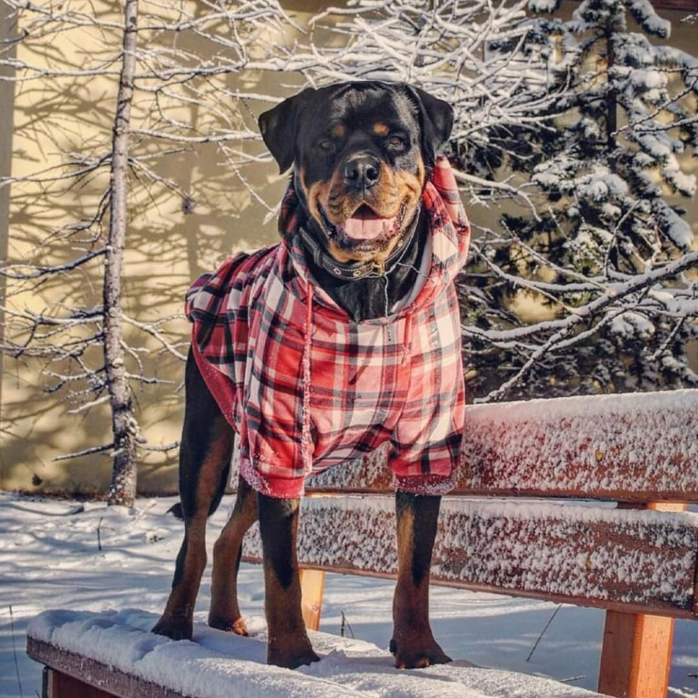 Spark Paws dog hoodie showcases discreet-leash-opening for easy harness attachment during walks