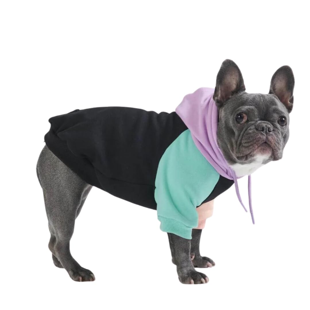 Spark Paws dog hoodie front view shows butter-stretch fabric for flexible, all-day wear