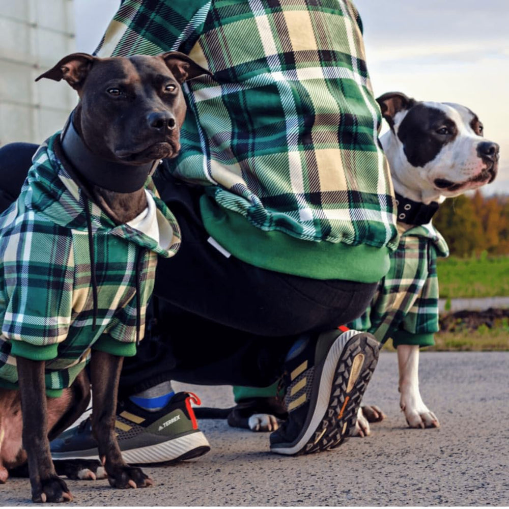 Spark Paws dog hoodie inside calming fleece lining for cozy days