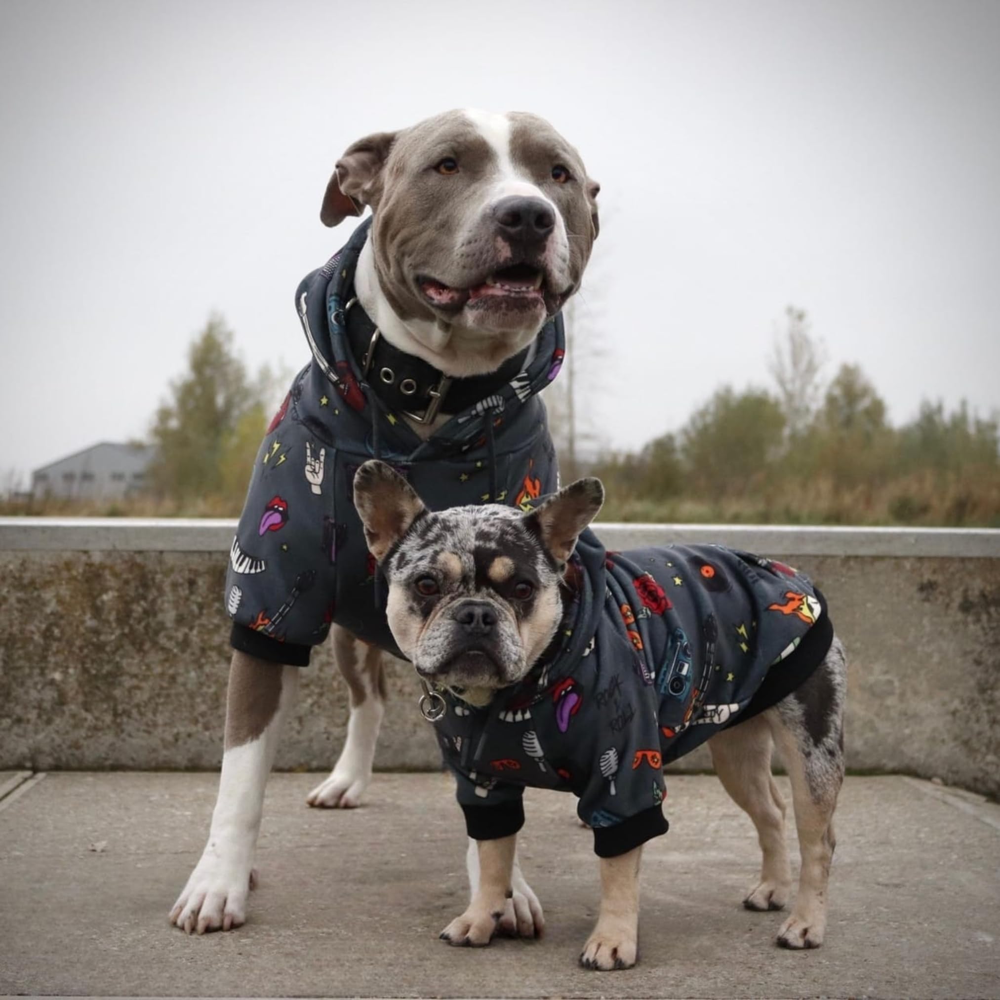 Spark Paws Dog Hoodie interior fleece delivers cozy warmth on cool days.