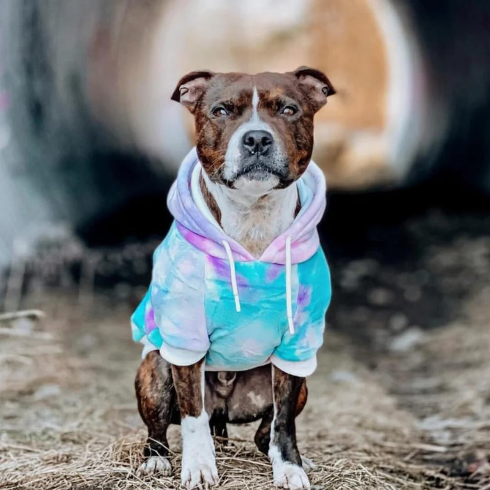 Spark Paws dog hoodie leash opening enables easy harness attachment