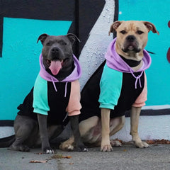 Spark Paws dog hoodie leash opening demonstrates convenient leash access without bulk