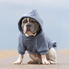 Spark Paws dog hoodie leash opening enables easy harness attachment during walks