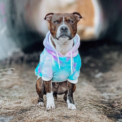 Spark Paws Hoodie with discreet leash opening for easy harness.
