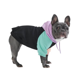 Spark Paws dog hoodie model wearing cyber punk style, showcasing comfortable everyday warmth.