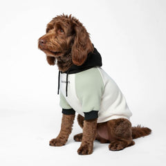 Spark Paws dog hoodie olive cream front view shows cozy, flexible fit