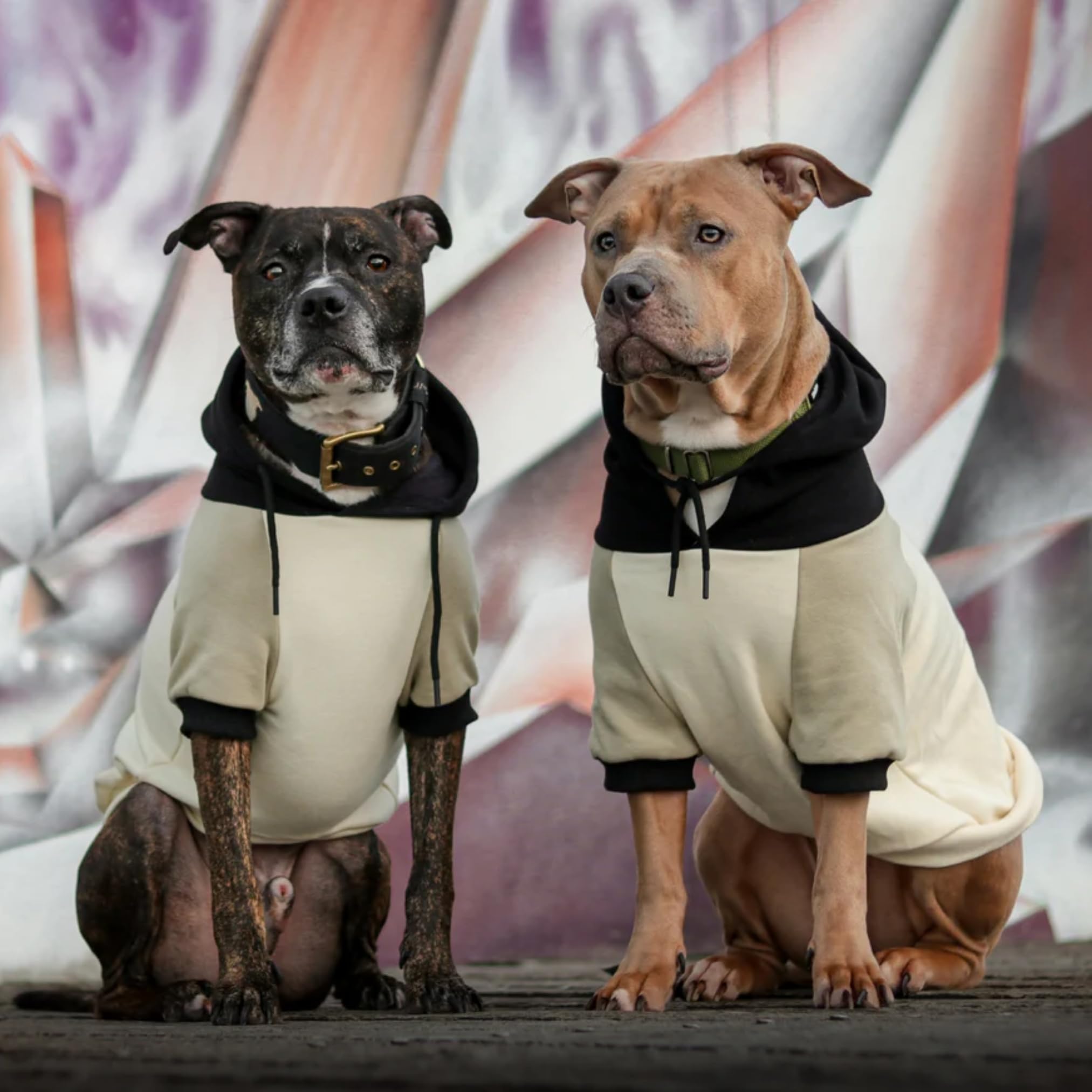 Spark Paws dog hoodie olive cream stretch fabric closeup shows softness