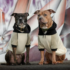 Spark Paws hoodie demonstrates a broad chest fit for French Bulldogs and Pit Bulls.