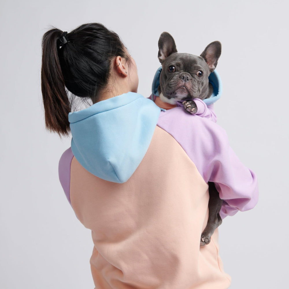 Spark Paws dog hoodie worn in winter for daily chilly-weather outings