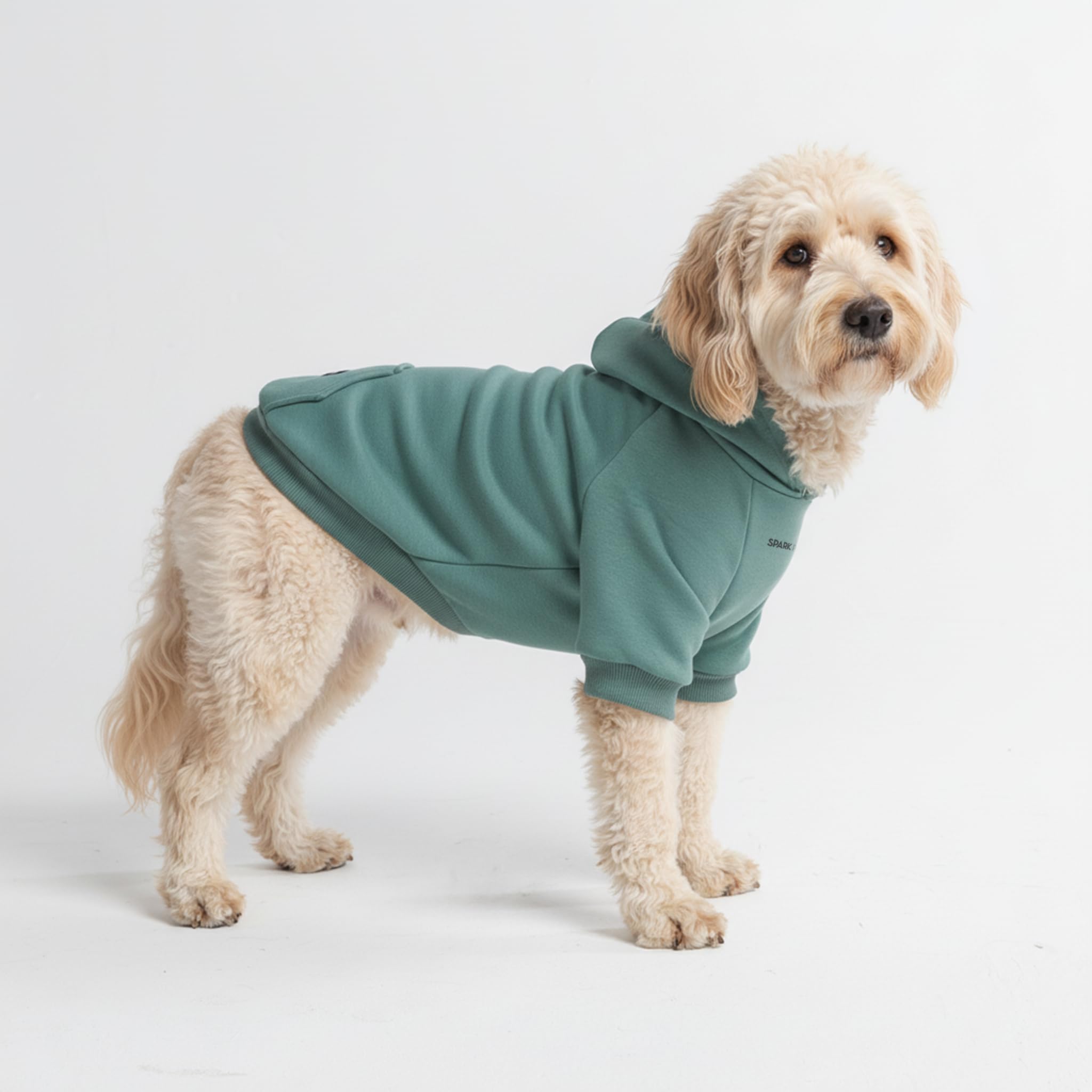 Spark Paws Dog Hoodie teal front view showing flexible four-way stretch