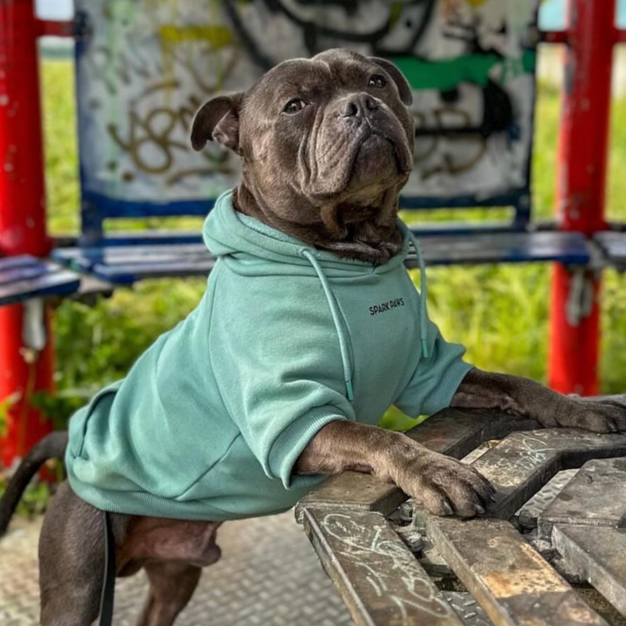 Spark Paws Dog Hoodie teal inside-fleece cozy warmth without bulk