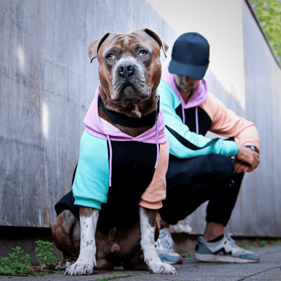 Spark Paws dog hoodie winter-walk style keeps dogs comfortable outdoors