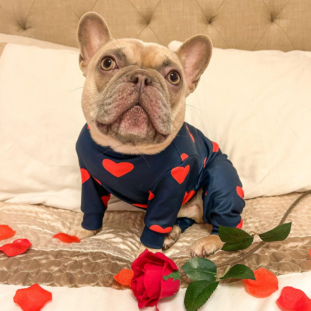 Spark Paws dog pajama hearts pattern enhances cozy style for active dogs.