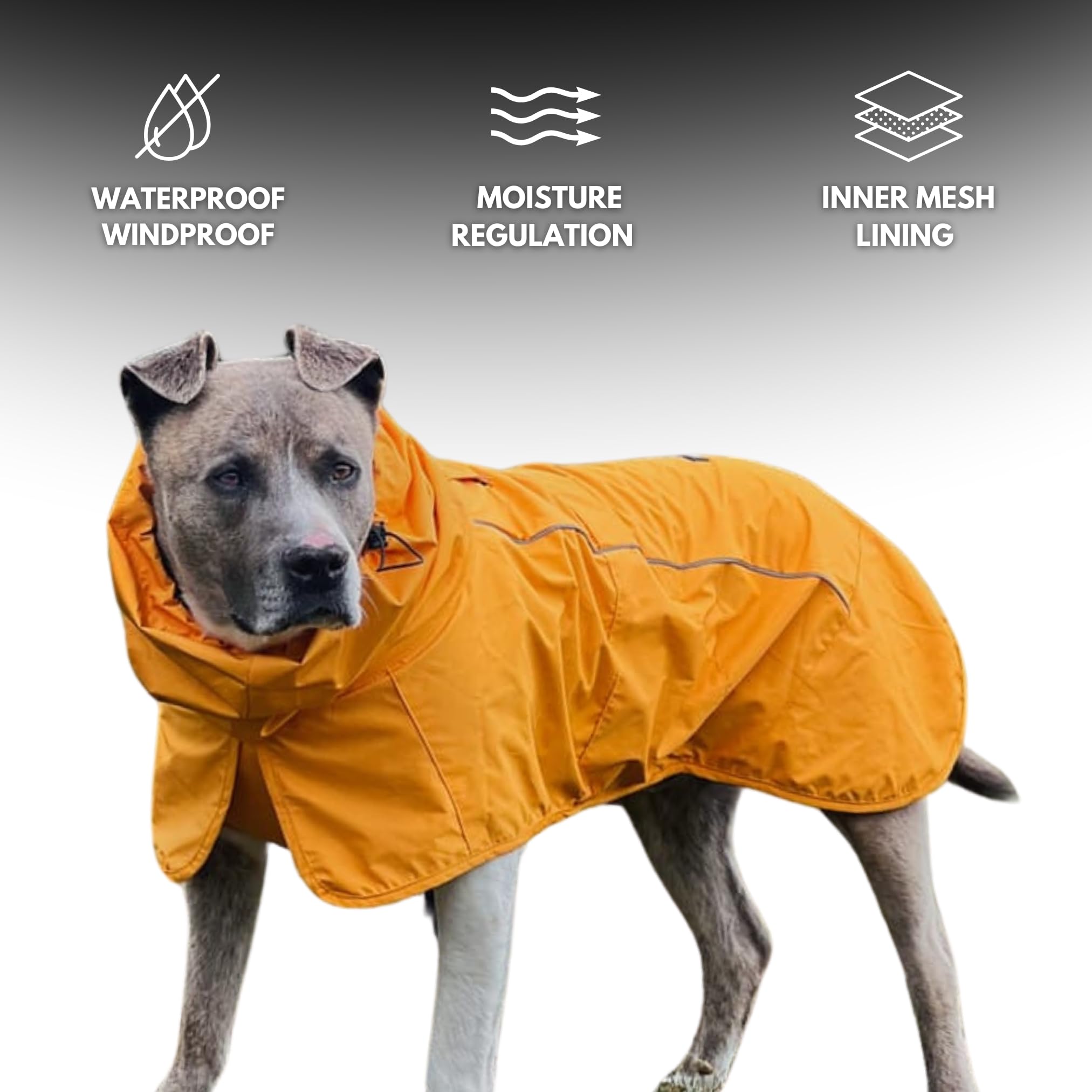 Spark Paws raincoat featuring Breatheshield mesh for breathable comfort.
