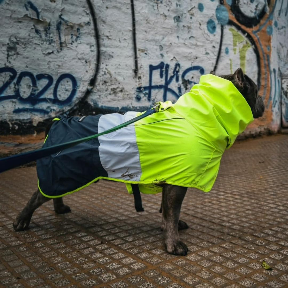 Spark Paws raincoat includes hind-leg toggle for easy bathroom breaks.