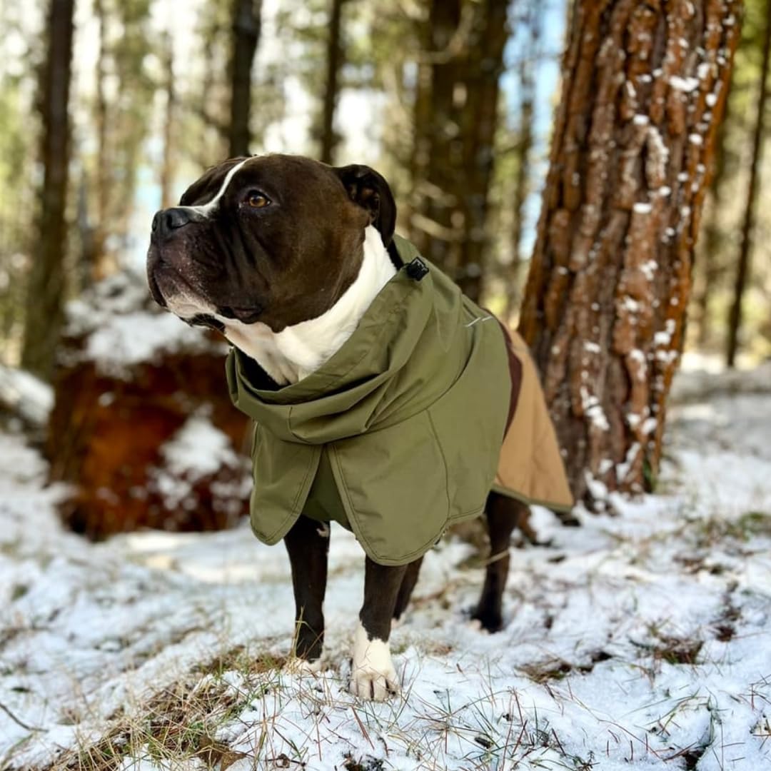 Spark Paws hind-leg toggle enables easy bathroom breaks.