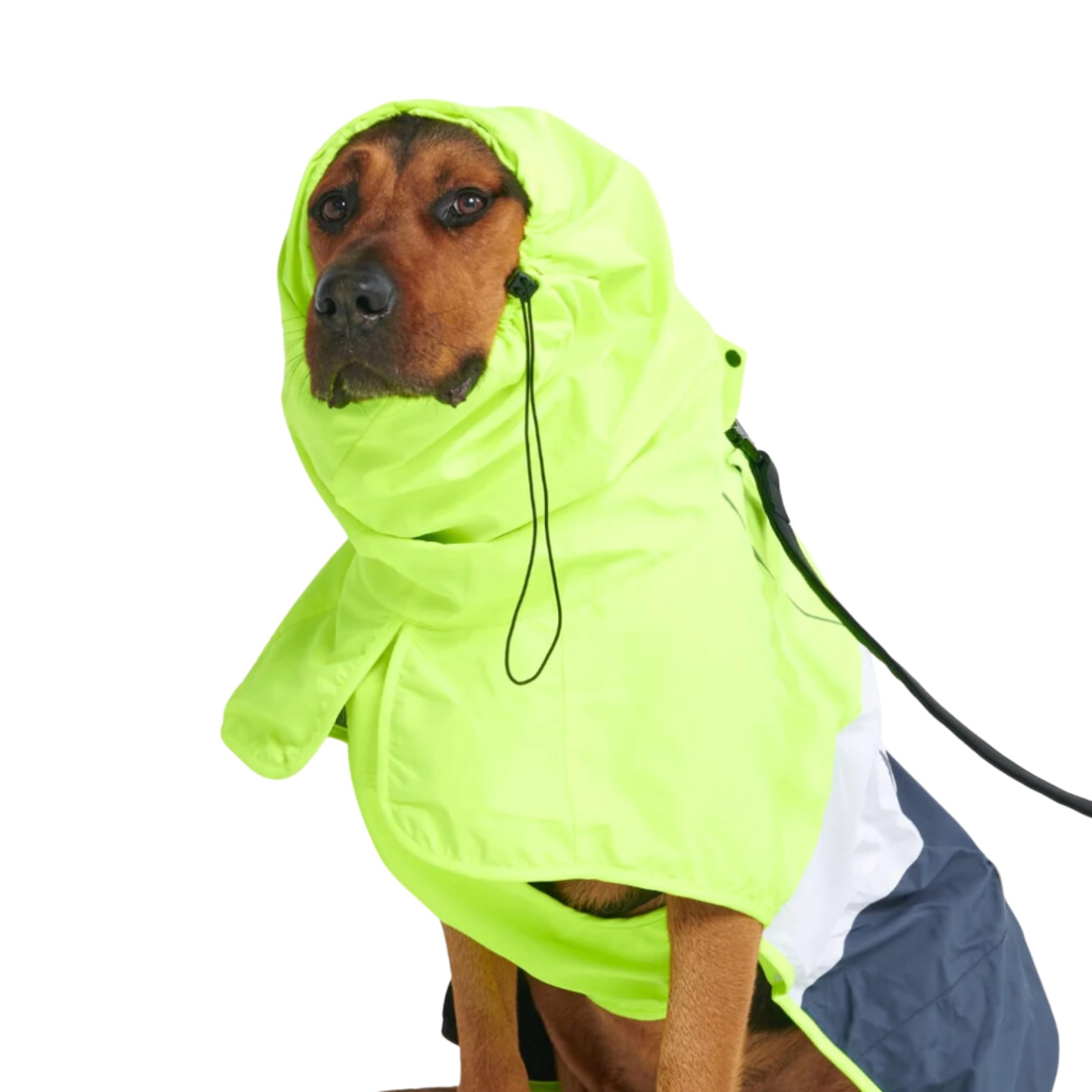 Spark Paws raincoat on dog delivering waterproof full-coverage protection during a rainy walk.