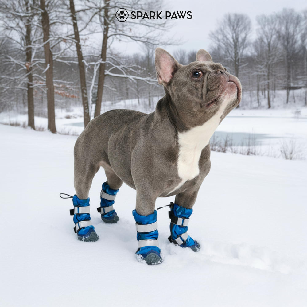 Spark Paws blue camo size-1 boot designed for medium to large dogs with precise fit.