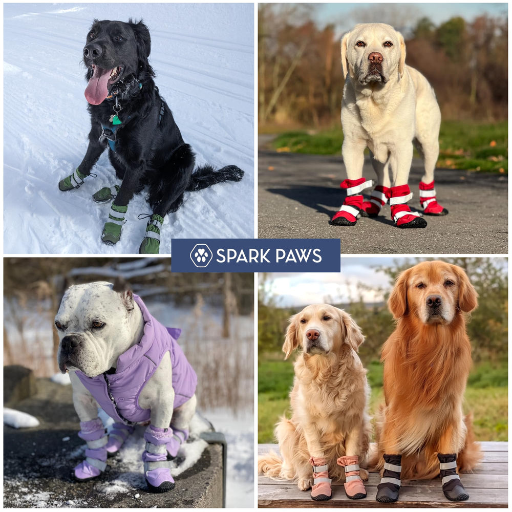 Spark Paws dog shoes being wiped clean and machine-washed for easy cleanup