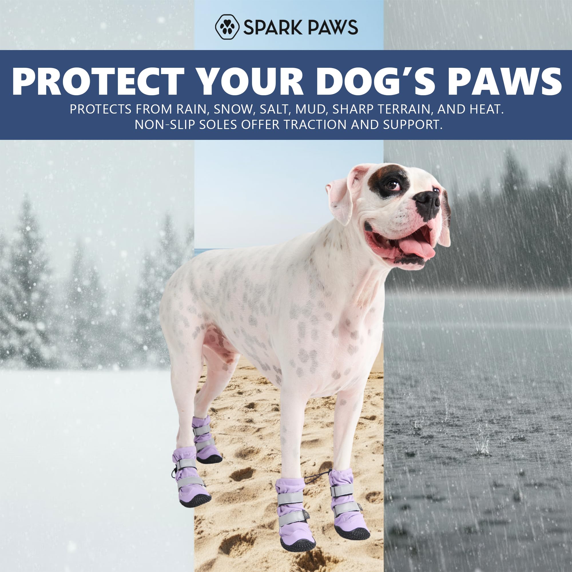 Spark Paws reflective straps glow during night strolls for safety