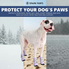 Spark Paws reflective straps glow during night strolls for safety