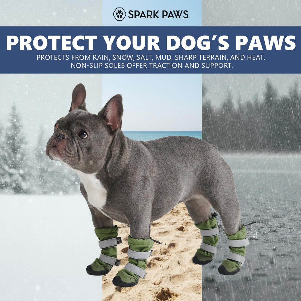 Spark Paws reflective straps view enhancing visibility during dawn or dusk strolls.