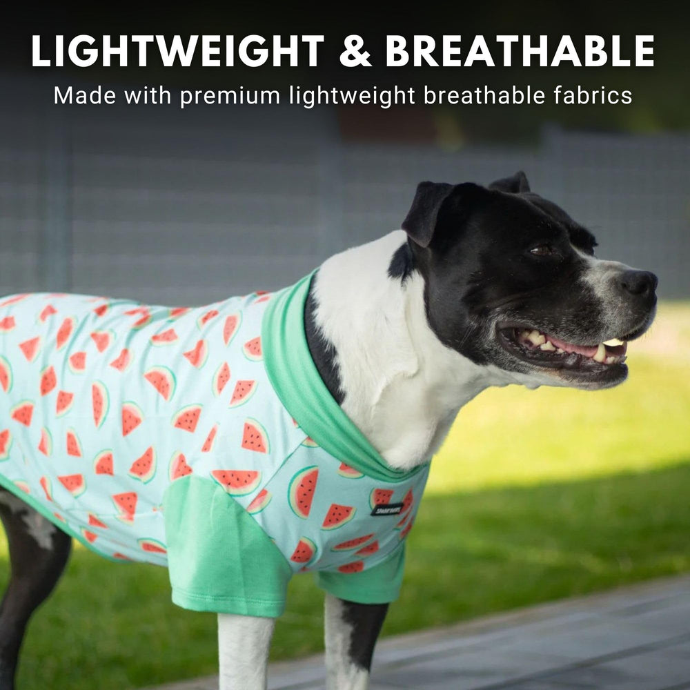 Spark Paws snug-fit design across sizes helps find a comfy size from S to XXL.