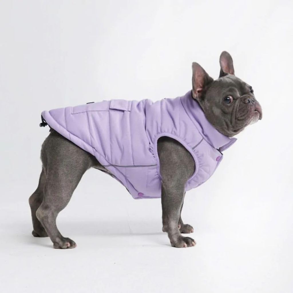 Spark Paws dog winter jacket front view lilac shows warmth and water resistance for cold walks
