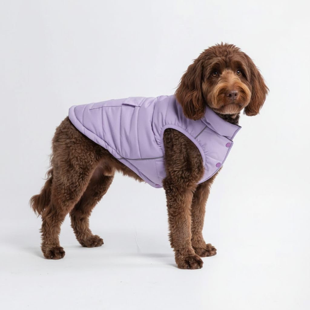 Spark Paws Lilac XXL dog winter jacket front view shows warm fleece lining
