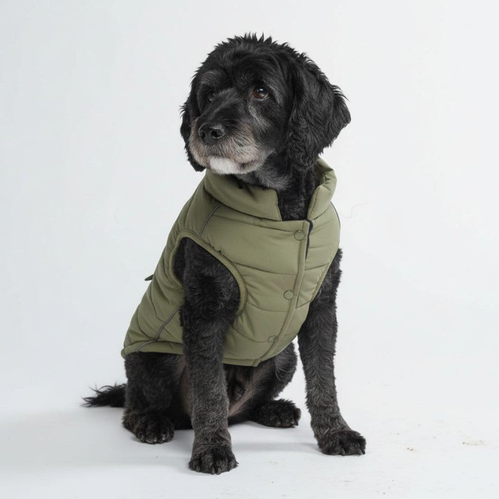 Spark Paws dog winter jacket olive front view highlighting warmth and fit