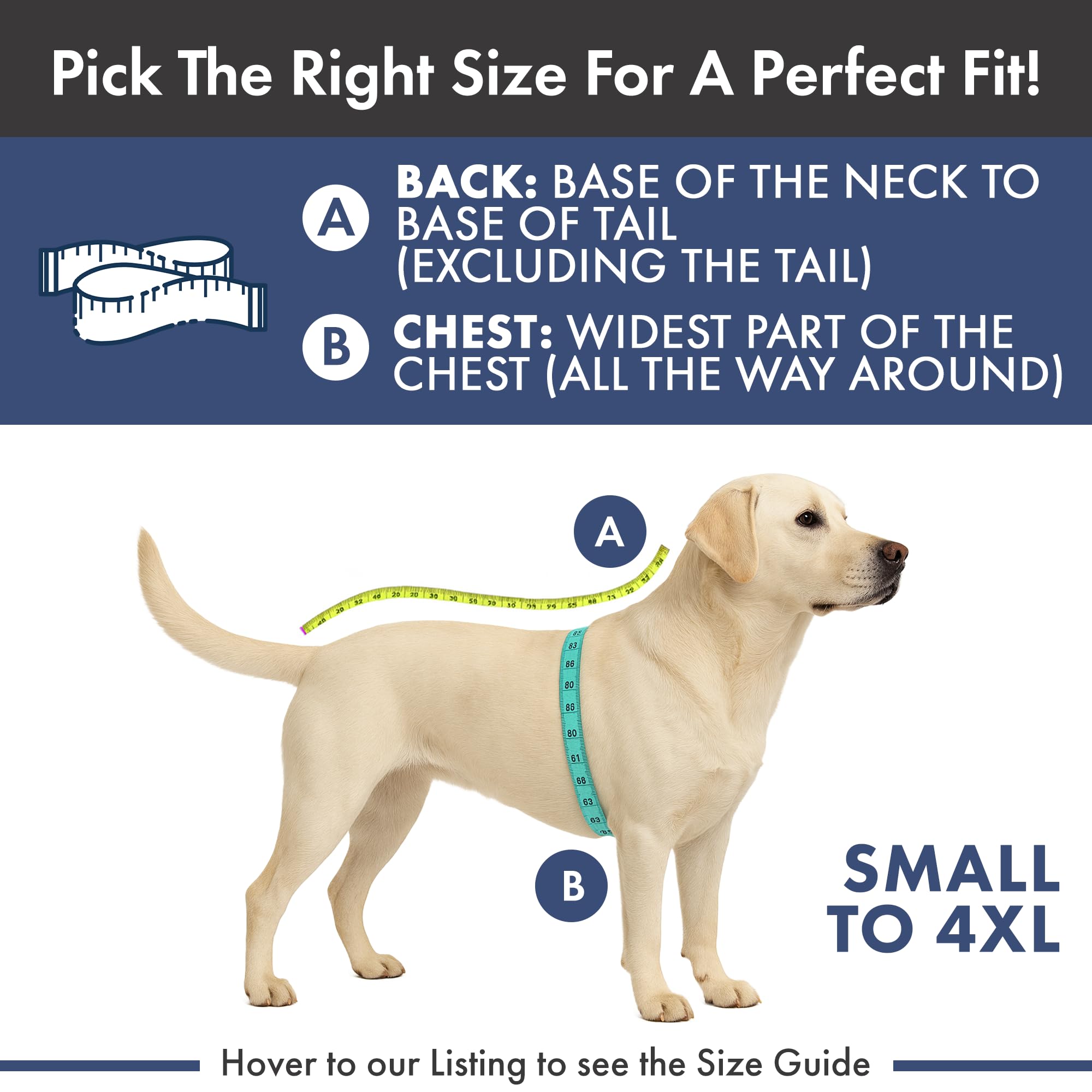 Spark Paws durable stitching closeup shows long-lasting dog apparel